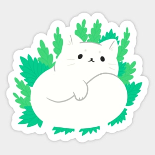 White kitty cat sunbathing in some plants Sticker